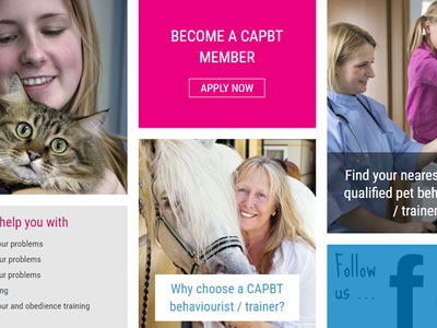 Rebrand and website design